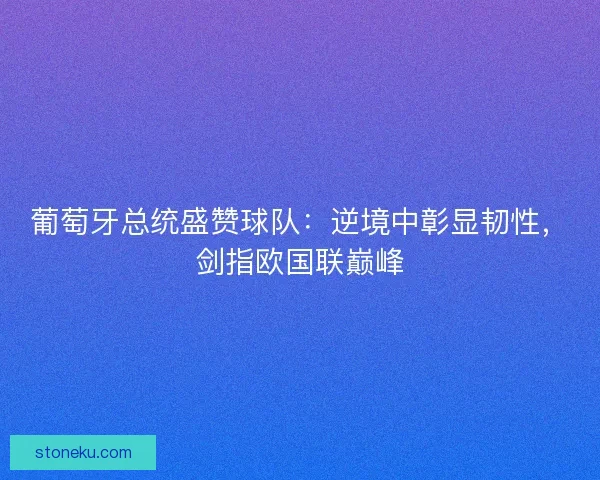 葡萄牙总统盛赞球队：逆境中彰显韧性，剑指欧国联巅峰
