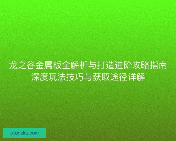 龙之谷金属板全解析与打造进阶攻略指南深度玩法技巧与获取途径详解